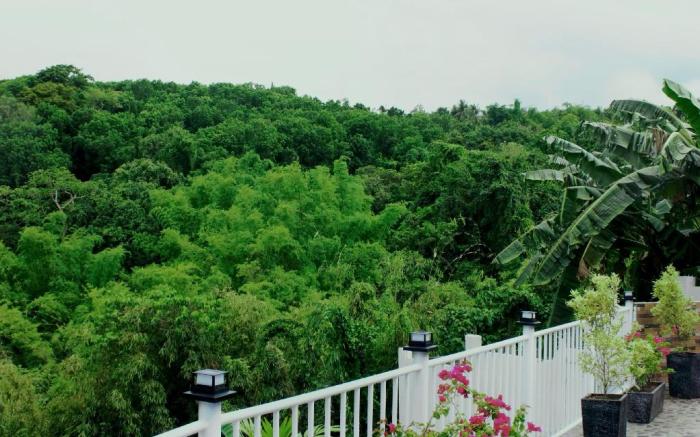 Casita Alyanna Hobbit House