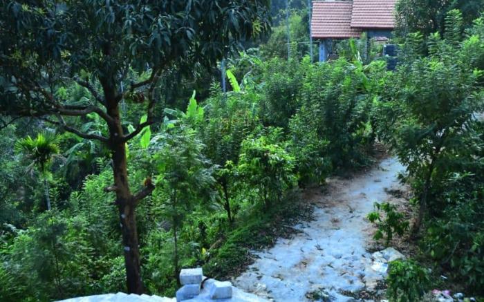 coorg river valley retreat