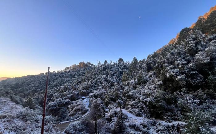 Yashvi Paradise Shimla 