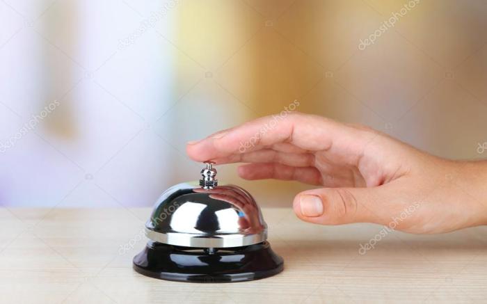 THE CENTRAL HOUSE GRANADA ELVIRA