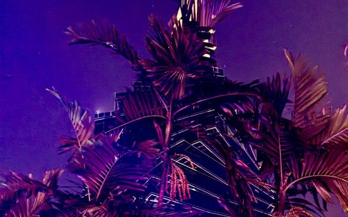 Panama Experience Hostel