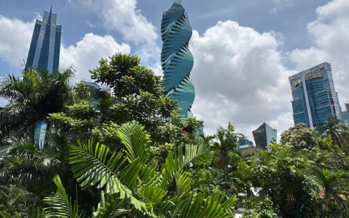 Panama Experience Hostel