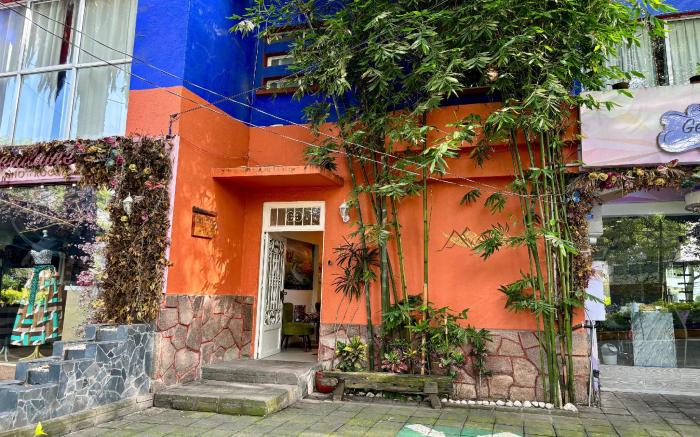 OYO Casa Anzures Thematic