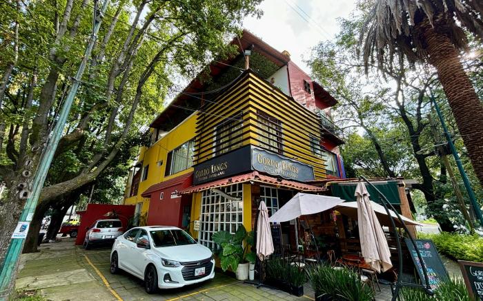 OYO Casa Anzures Thematic