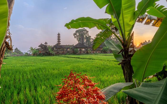 Niki_StunningUbudVilla with Panoramic Temple Views