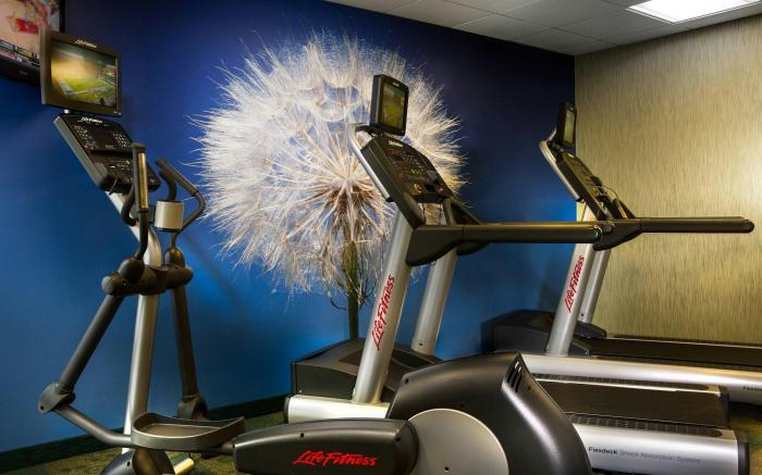 SpringHill Suites by Marriott Dallas DFW Airport North/Grapevine