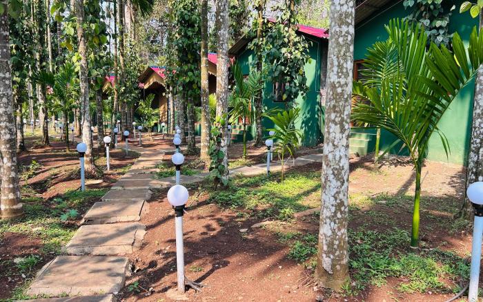 Fly Wing by Triptastic Holidaze