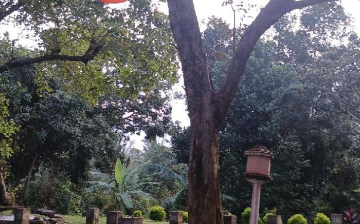 Ella backpack hostel 