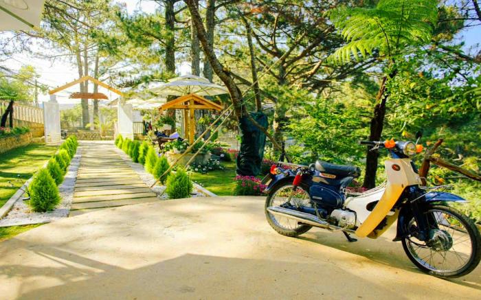 ĐÔNG Homestay 