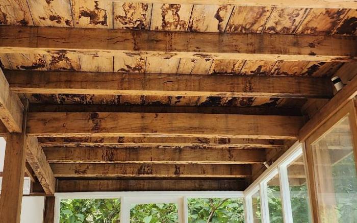 Hornbill Honeymoon Pool Villa