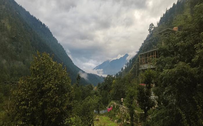 NMF - New Mountain Face Kasol