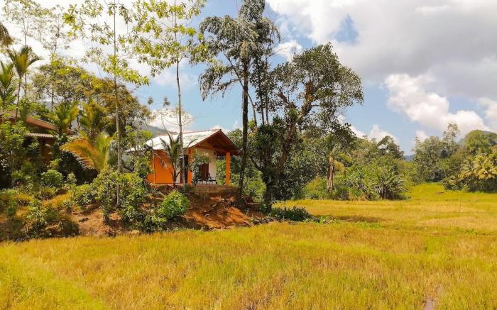 Eco-Friendly Villa-Explore Sinharaja & Rice Fields