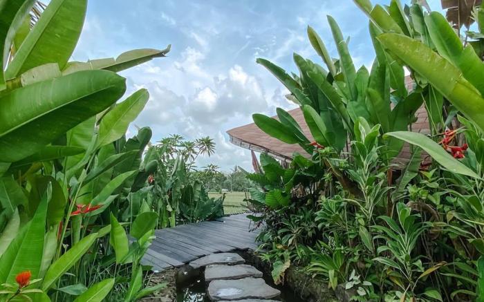 IPIAN Cinta by GenuineHost 