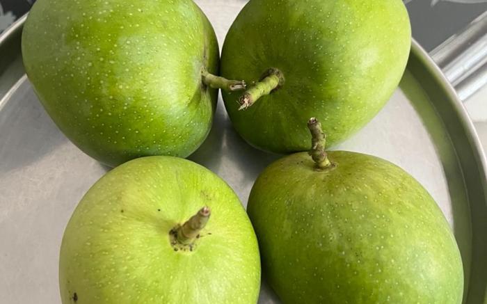 Prasad villas and homestay