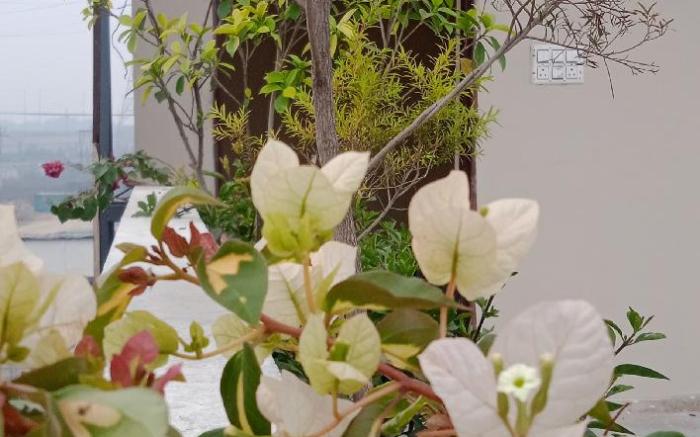 Yogam Homestay Agra
