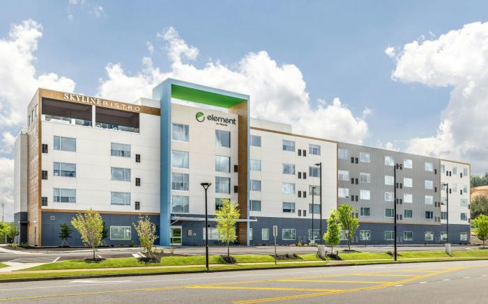 Element Cartersville