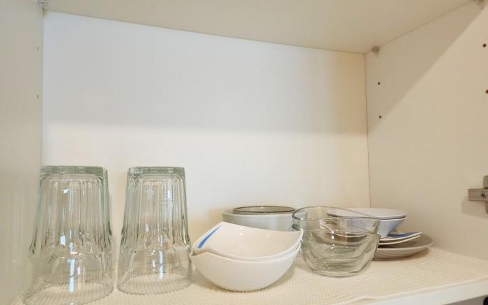 Spacious 1 BR Condo in Center