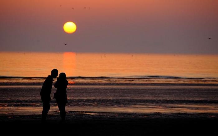 Taean Lily Pension