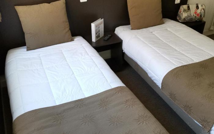 Adonis Lourdes Notre Dame de la Sarte