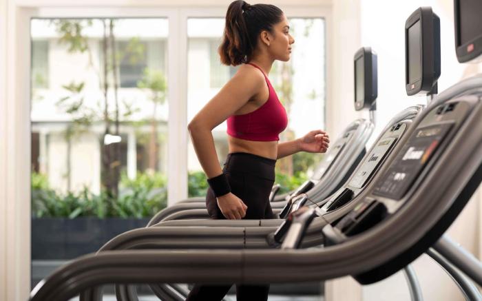 Pullman Chennai Anna Salai