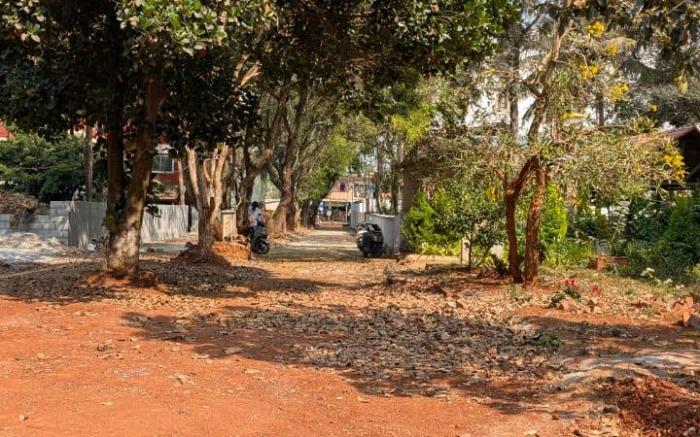 Aranyeh the people tree resort