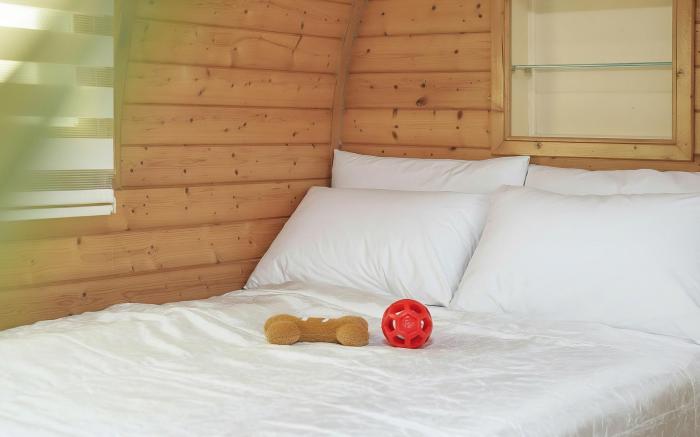 Gapyeong Venezia Dog Pension