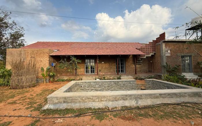 Ficus by Kilukka Farms