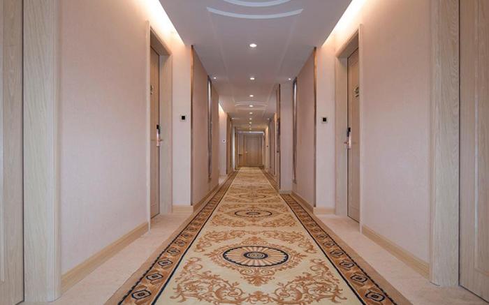 Vienna Hotel Shenzhen Dayun Nanyue Metro Station