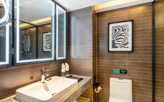 Xana Hotelle Shenzhen North Railway Station Longhua Yicheng Center