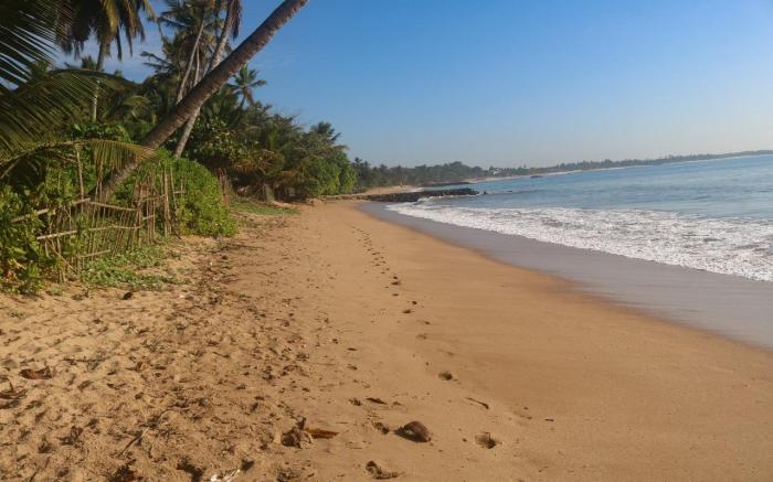 Beach Raised Guest House