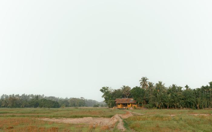 Kirindi Paddy Isle