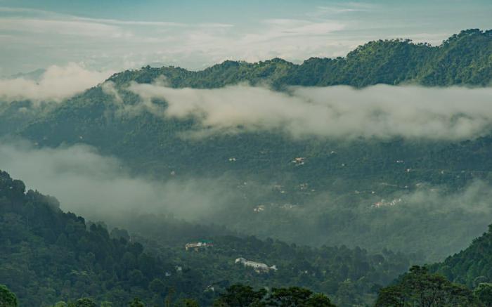 The Woods View I Serviced Villa 