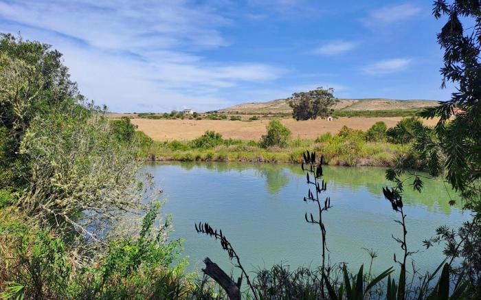 Wild Rescue Nature Reserve