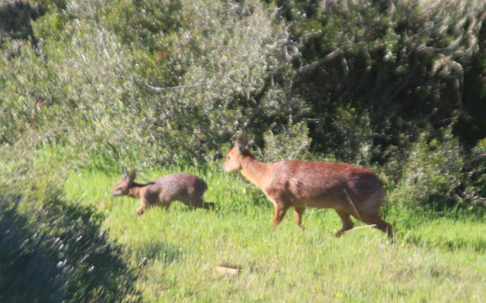 Wild Rescue Nature Reserve