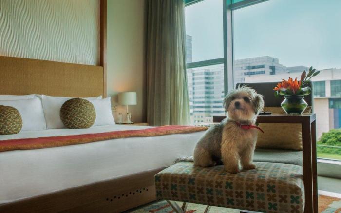 Vivanta Bengaluru, Whitefield