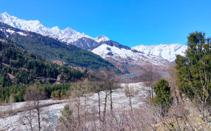 Himalayan Lotus Boutique Stay 