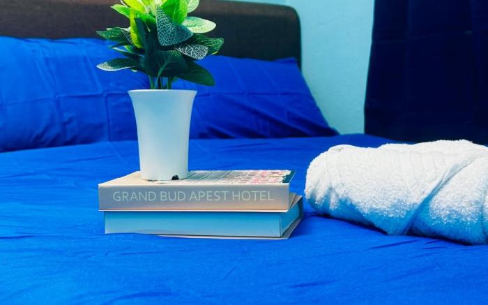relax familystay (usm )3BR-8pax