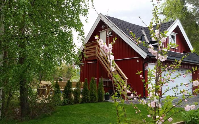 Cozy loft close to the nature