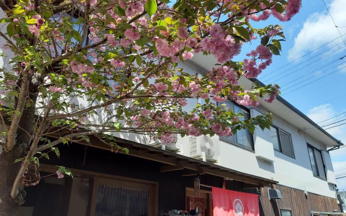 Guesthouse Soi