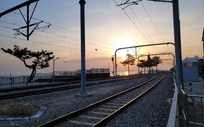 Gangneung Jeong Stay