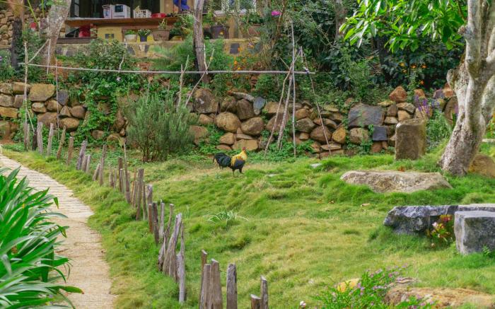 Vuon Hong Le Phuc - Cau Dat Glamping Retreat Da Lat