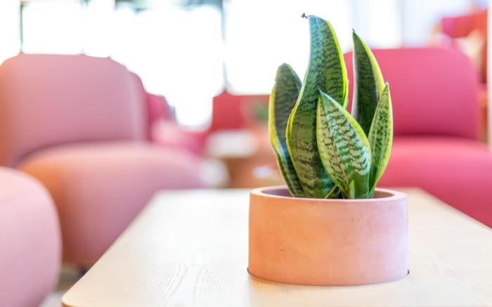 Hotel Nido Malvarrosa