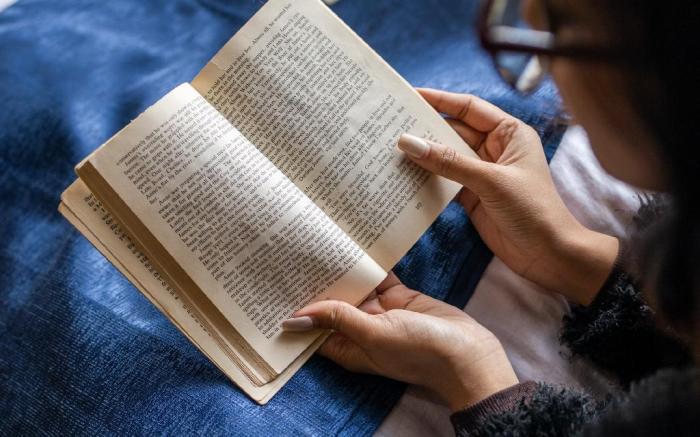 The Evara Stays Jibhi