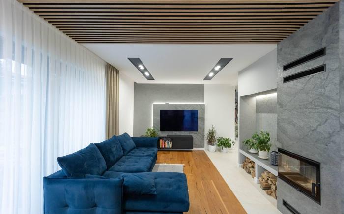 Luxurious villa with pool near Energylandiai