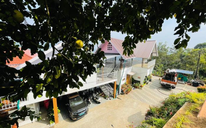 Vue Dale Retreats Munnar