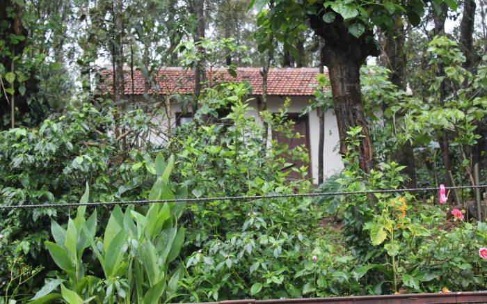 Vastare Homestay and Resort