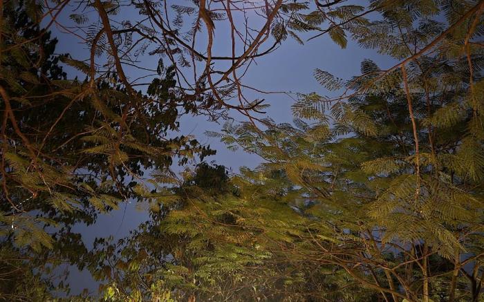 Camp Temgarh