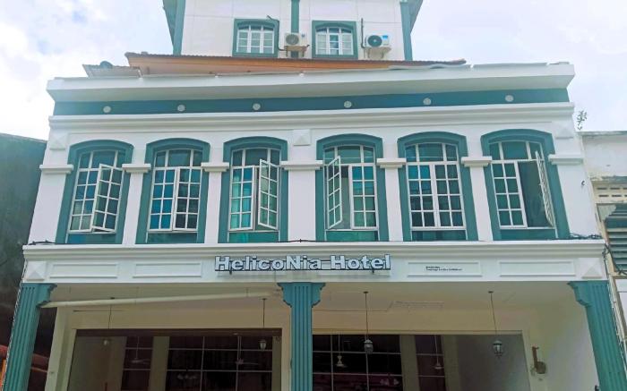 Heliconia by Treebridge