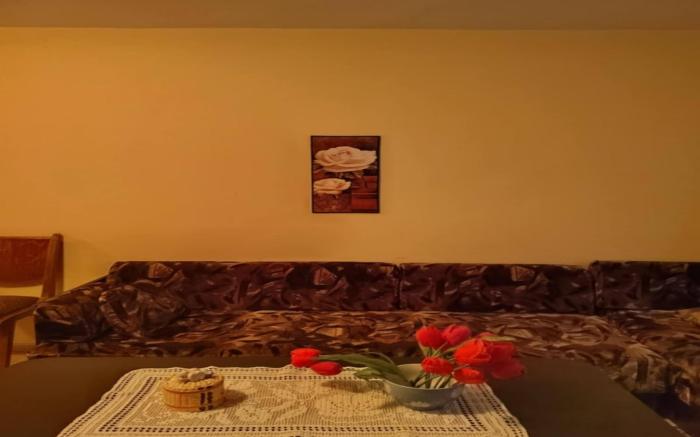 Cozy little flat in Karlovo