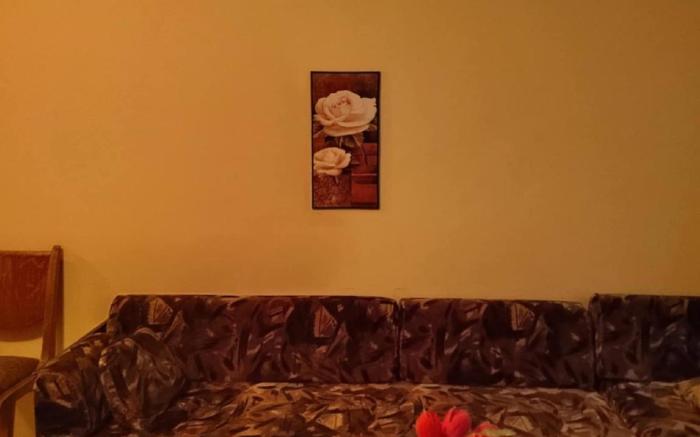 Cozy little flat in Karlovo